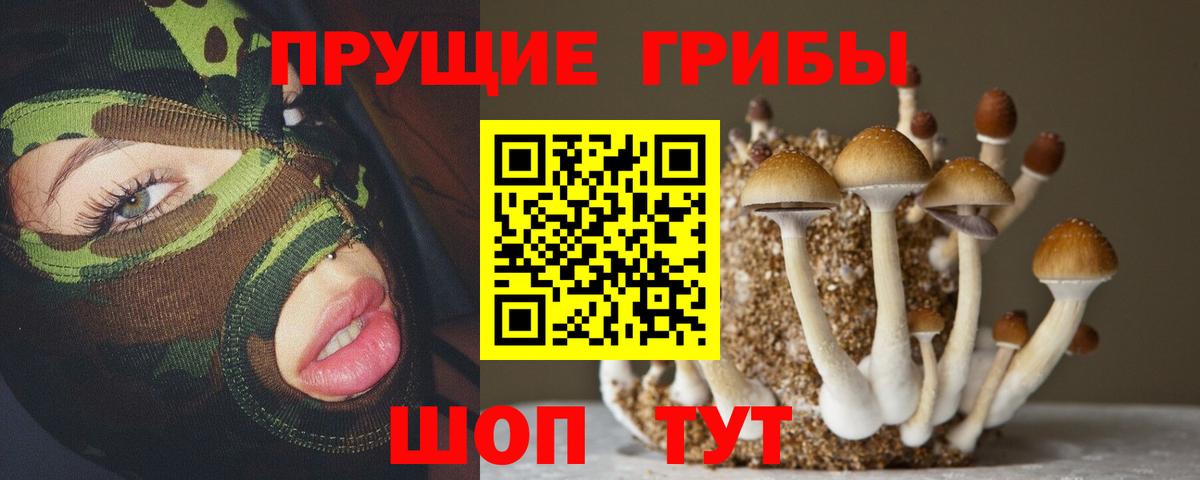 купить  сайты  Галлюциногенные грибы Psilocybine cubensis  Вход с VPN  Нерюнгри 